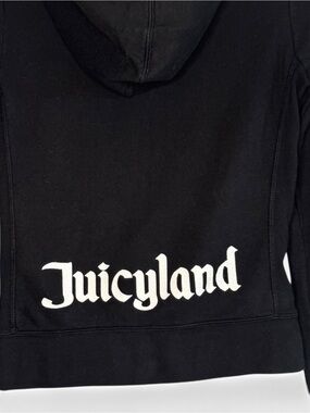 Vintage Juicyland Juicy Couture Hoodie Small ~2003, Rare, HTF, Y2K